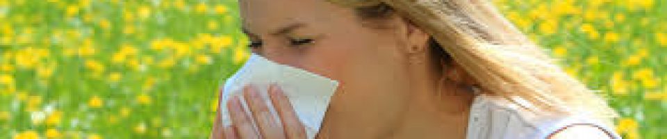 Hayfever