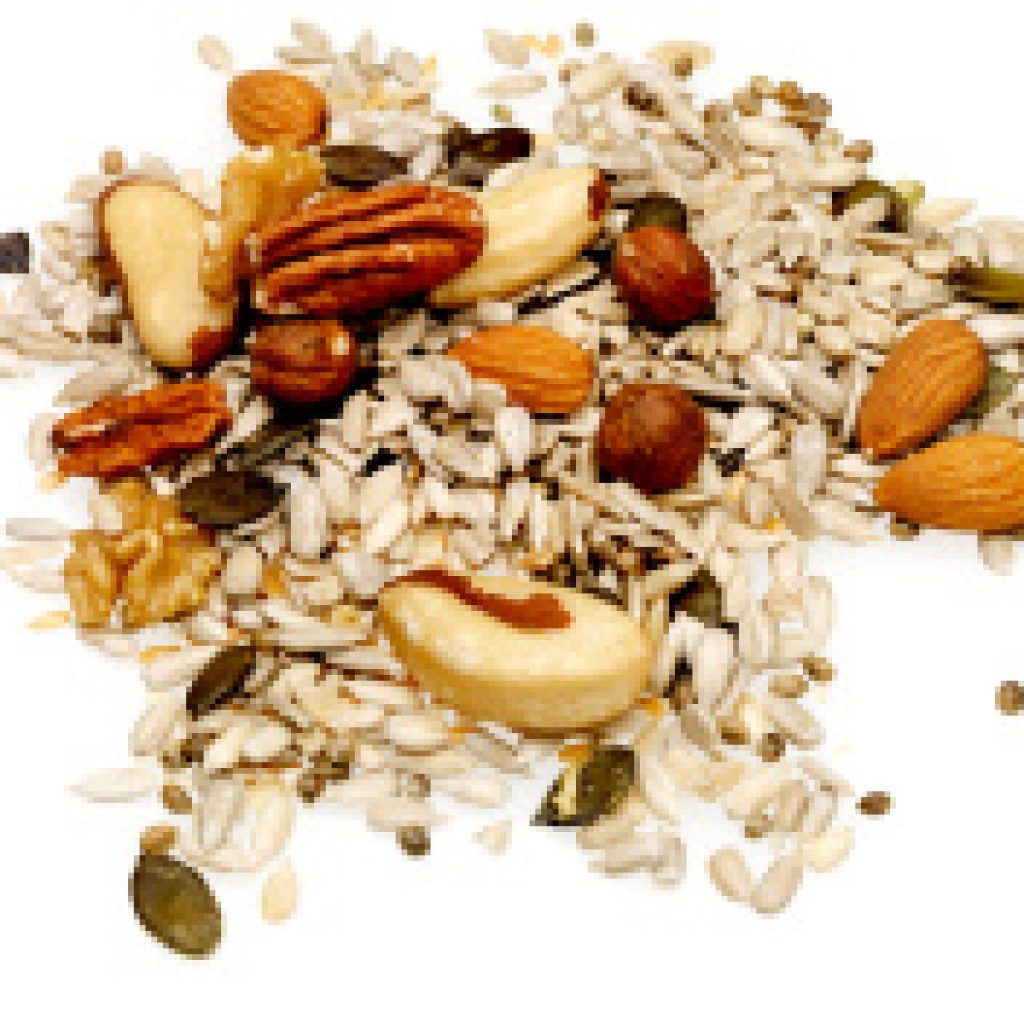 stockphoto71094941handfulofmixeddriednutsandseeds Shine